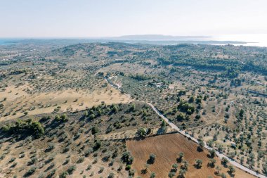 Dağ yamaçlarındaki zeytin tarlalarından geçen yol. Yunanistan. Drone. Yüksek kalite fotoğraf