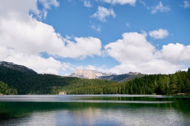 Dağların eteklerinde ladin ormanlarıyla kaplı kara göl. Durmitor Ulusal Parkı, Karadağ. Yüksek kalite fotoğraf