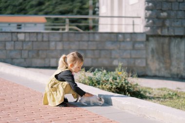 Küçük kız, asfalt bir yolda çömelmiş beyaz tüylü bir kediyi okşar. Yüksek kalite fotoğraf