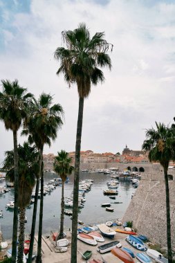 Kıyıda eski Dubrovnik kasabasına bakan yeşil palmiye ağaçlarının yanında balıkçı tekneleri kuruyor. Hırvatistan. Yüksek kalite fotoğraf