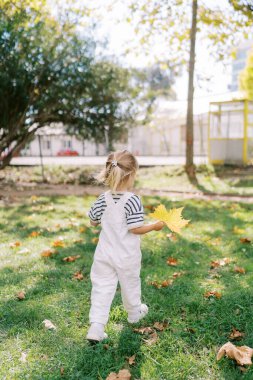 Elinde sarı bir akçaağaç yaprağı olan küçük bir kız güneşli bir parkta yürüyor. Arkadan bak. Yüksek kalite fotoğraf