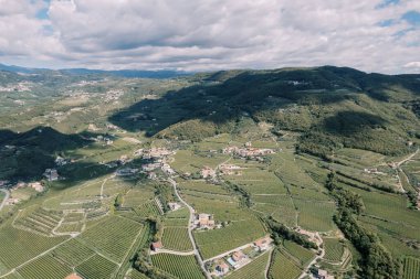 Dağ yamaçlarındaki üzüm bağları. Verona, İtalya. Drone. Yüksek kalite fotoğraf