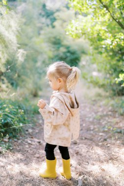 Küçük kız ormanda bir patikada duruyor ve başka tarafa bakıyor. Yan görüş. Yüksek kalite fotoğraf