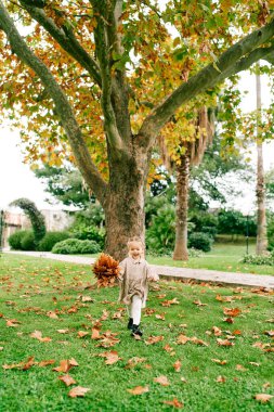 Elinde bir buket portakal yaprağı olan gülümseyen küçük kız parkta yürüyor. Yüksek kalite fotoğraf