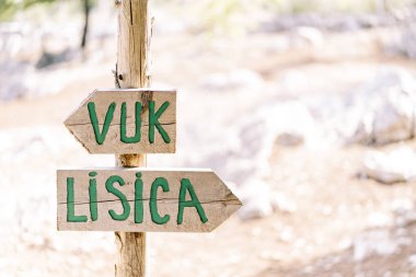 Parktaki direkte işaretli tahta tabelalar. Altyazı: Vuk, Lisica. Yüksek kalite fotoğraf