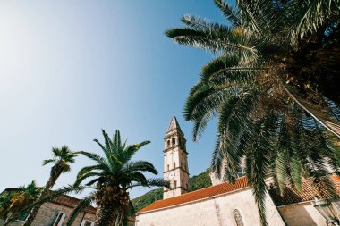 Yeşil palmiye dallarından Aziz Niklas Kilisesi 'nin çan kulesine bak. Perast, Karadağ. Yüksek kalite fotoğraf