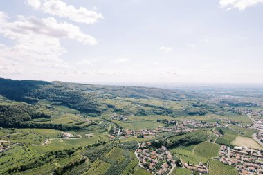 Negrar Valpolicella 'daki dağların yamaçlarında yeşil üzüm bağları. Verona, İtalya. Drone. Yüksek kalite fotoğraf