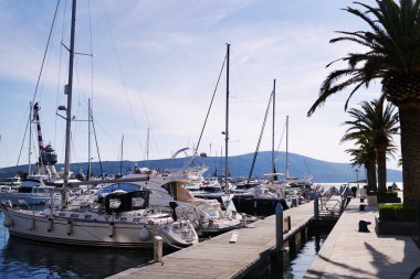 Motor ve yelken yatları, çiçek tarhlarında yeşil palmiye ağaçları bulunan lüks bir iskeleye demirlemiştir. Yüksek kalite fotoğraf