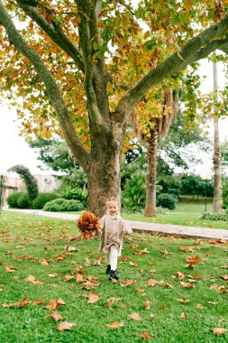 Elinde bir buket portakal yaprağı olan gülümseyen küçük kız parkta yürüyor. Yüksek kalite fotoğraf
