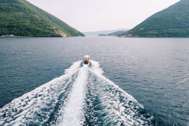 Beyaz motorlu yat yeşil bir dağ sırasına doğru yelken açıyor. Arkadan bak. Drone. Yüksek kalite fotoğraf