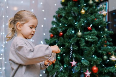 Küçük kız odadaki bir Noel ağacının dalına fiyonklu oyuncak bir fare asıyor. Yüksek kalite fotoğraf