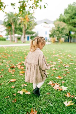 Küçük kız düşen yaprakların arasında yeşil bir çimenlikte yürüyor, ayaklarına bakıyor. Arkadan bak. Yüksek kalite fotoğraf