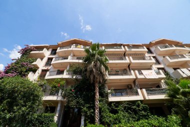 Bahçesinde yeşil ağaçlar olan çiçek açan leylak salkımlarıyla kaplı bir apartman. Yüksek kalite fotoğraf