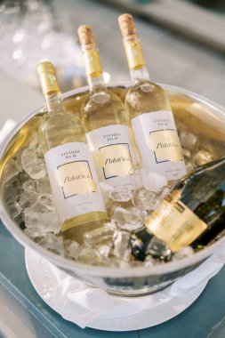 Bir kova buzun içinde beyaz şarap ve şampanya standı. Başlık: Zlatarica. Yüksek kalite fotoğraf