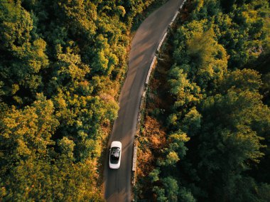 Üstü açık beyaz araba yeşil bir ormanın içinde bir otoyol boyunca gidiyor. Üst Manzara. Yüksek kalite fotoğraf
