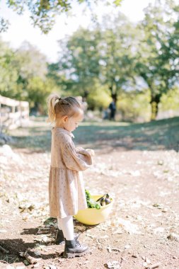 Küçük kız güneşli bir parkta bir kase taze sebzenin yanında durmuş ellerine bakıyor. Yüksek kalite fotoğraf