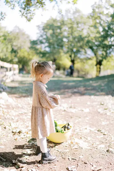 Küçük kız güneşli bir parkta bir kase taze sebzenin yanında durmuş ellerine bakıyor. Yüksek kalite fotoğraf