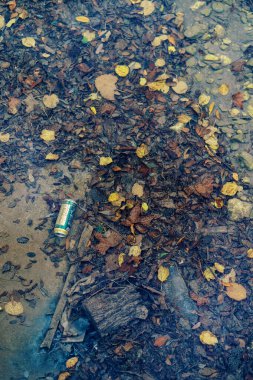 Teneke kutu ve plastik şişe nehrin dibinde yatıyor. Üst Manzara. Yüksek kalite fotoğraf