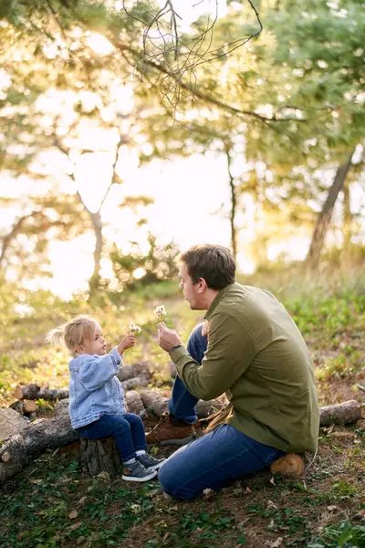 Baba ve küçük kız odunların üzerine oturur ve ellerinde karahindiba üflerler. Yüksek kalite fotoğraf