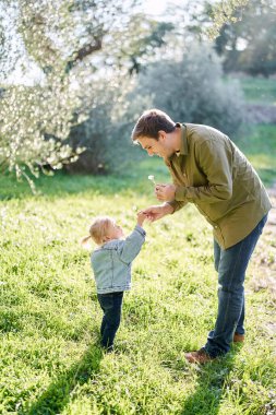 Gülümseyen baba, güneşli çimlerde dikilen küçük kıza karahindiba uzatıyor. Yüksek kalite fotoğraf