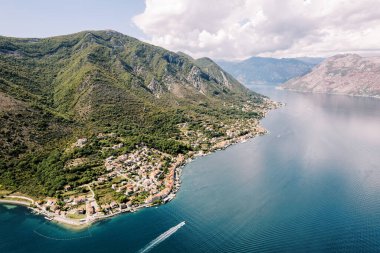 Kotor Körfezi kıyısındaki yeşil dağların eteklerindeki Prcanj tatil köyünün panoramik manzarası. Karadağ. Drone. Yüksek kalite fotoğraf