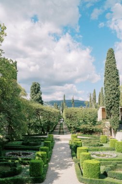 Yeşil bahçedeki çakıl yolu ustalıkla budanmış çalılarla. Yüksek kalite fotoğraf