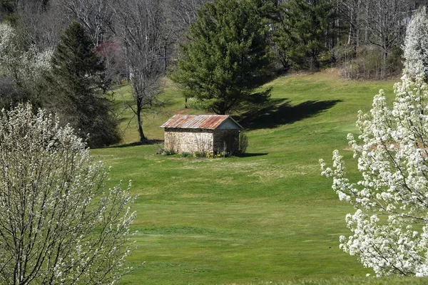 Kırsal Kesimde Küçük Bir Kulübe Beyaz Kiraz Ağaçları Hızlı Koşarken — Stok fotoğraf