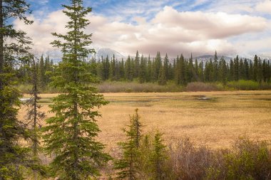Rural countryside in the Alaskan Frontier with cloudy skies and mountain range.