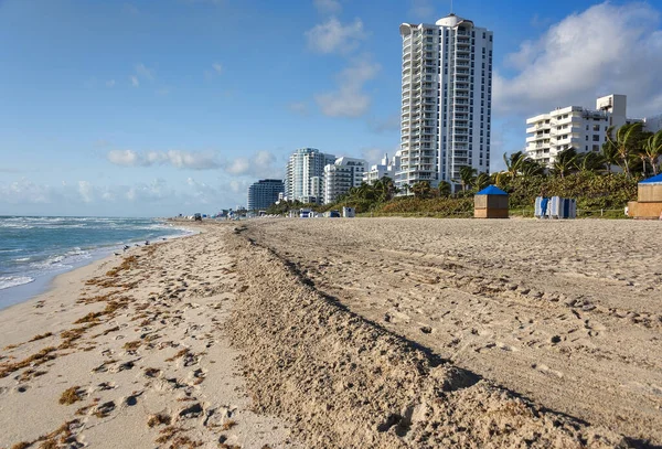 Miamis南岸 大西洋的伸展地带 供游客使用的休憩椅和雨伞 — 图库照片