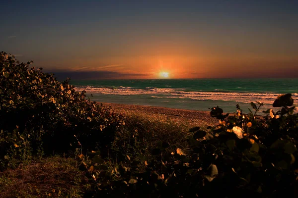 Słońce Zachodzące Miamis South Beach Złota Godzina Naturalna Roślinność Ocean — Zdjęcie stockowe