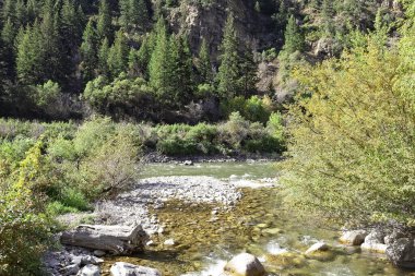 Colorado 'da kırsal alan, nehir akışı ve sonbahar renkleriyle.