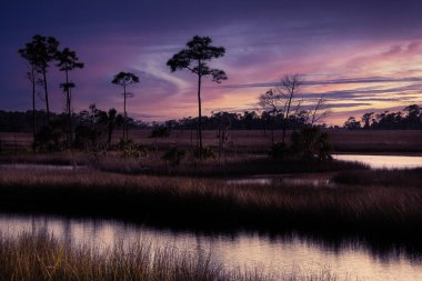 Tallahassee, Florida 'daki Saint Marks Vahşi Yaşam Sığınağı' nda akşam gökyüzü morumsu renklerle dolu.