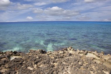 Cayman Adaları 'ndaki Mavi Karayip Denizi suları ve mercan kıyıları.