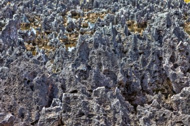 Batı Körfezi, Grand Cayman bölgesinde kısa, siyah kireçtaşı oluşumları