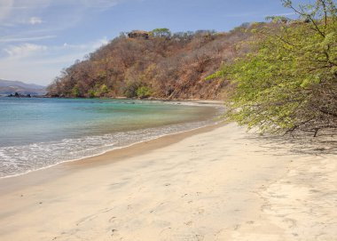 Kosta Rika 'da kumlu bir sahil.