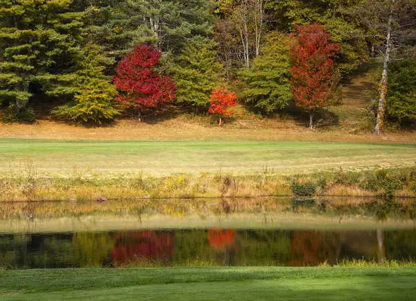 Alberi Rossi Colorati Autunno Che Riflettono Uno Stagno Nei Boschi Immagini Stock Royalty Free