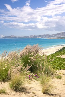 Cabo San Lucas 'ta sıcak güneşli bir sahil. Etrafı Cortez Denizi ile çevrili..