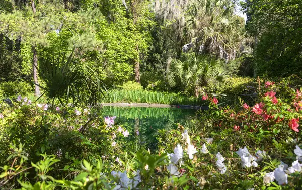 フロリダ州タラハシーにあるマクレイガーデンズ国立公園の池の庭の反射 ロイヤリティフリーのストック写真