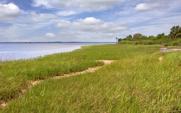 圣马科斯河沿岸海岸线 圣马科斯国家野生动物保护区 蓝天湿地和自然湿地 — 图库照片
