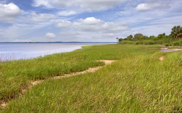 圣马科斯河沿岸海岸线 圣马科斯国家野生动物保护区 蓝天湿地和自然湿地 图库图片