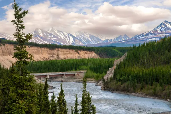 Alaska Manzarası Denali Milli Parkı Boyunca Dağ Nehir — Stok fotoğraf