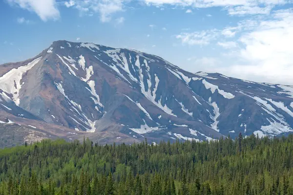 Vzdálené Pohoří Evergreenským Lesem Modrou Oblohou Aljašce Stock Obrázky
