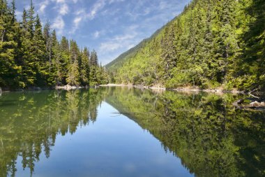 Dewey Gölü, Skagway, uzak göl Taze çamlar ve mavi gökyüzü.