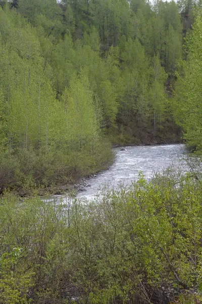 Remote River Flowing Alaska Terrain Green Vegetation Borders Stock Picture