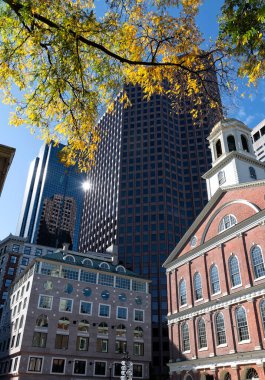 Boston, Massachusetts 'te şehir mimarisi. Sonbahar mevsiminde ağaçların altın rengi..