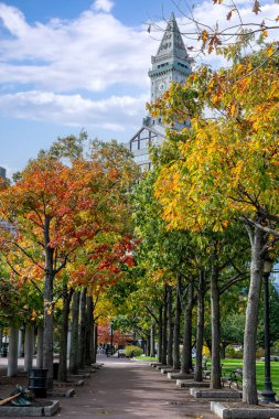 Autumn Colored Trees Boston, Massachusetts 'teki Kristof Kolomb Liman Parkı' nda yaya geçidi..