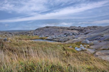 Halifax, Nova Scotia, Kanada 'daki engebeli kıyı şeridi
