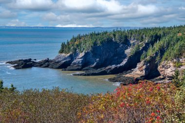 Saint John manzaralı Cape Spencer, New Brunswick, Kanada