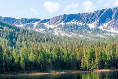Evergreen orman kıyıları ve Alaska 'nın uzak bölgelerindeki dağları kaplayan karlar.