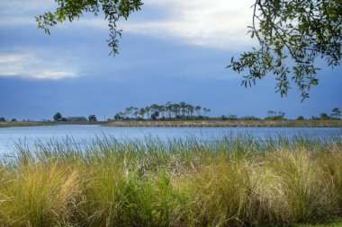 Saint Marks Doğa Koruma Ulusal Parkı Kuzey Florida, Tallahassee, Florida